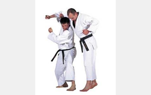 5ceffd50e6811_jujitsu1.jpg
